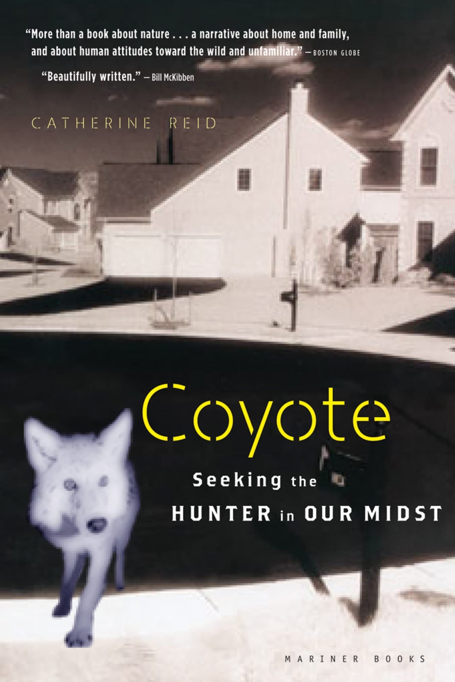 Coyote: Seeking the Hunter in Our Midst book cover