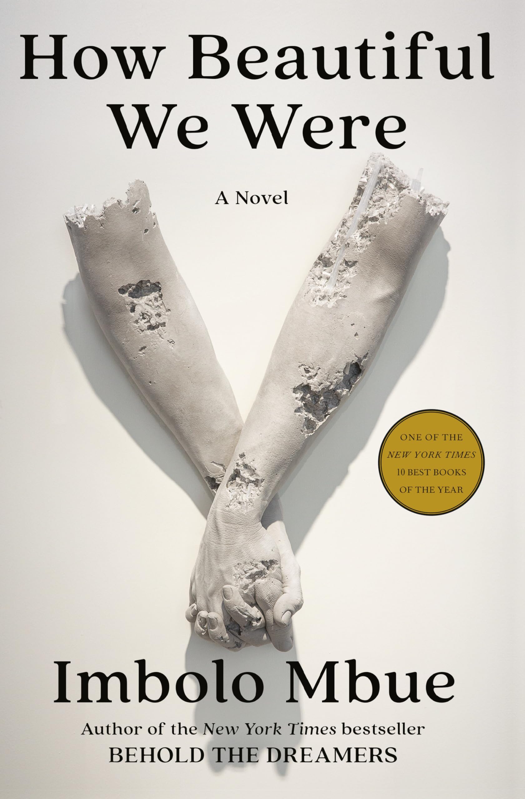 How Beautiful We Were book cover