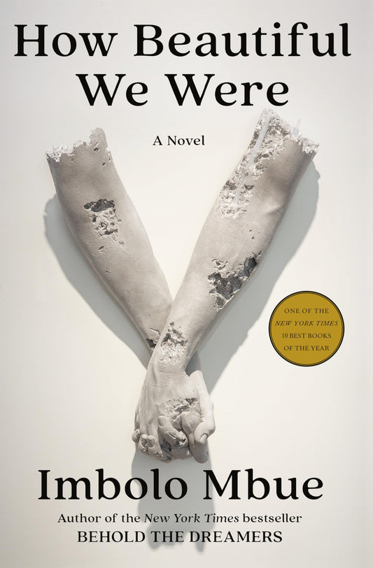 How Beautiful We Were book cover