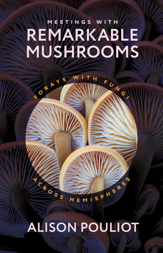 Meetings with Remarkable Mushrooms: Forays with Fungi Across Hemispheres book cover