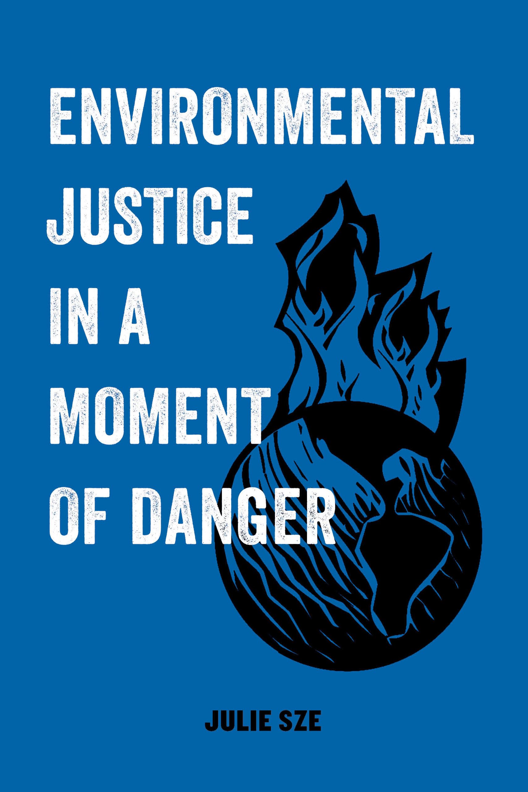 Environmental Justice in a Moment of Danger: Volume 11 book cover
