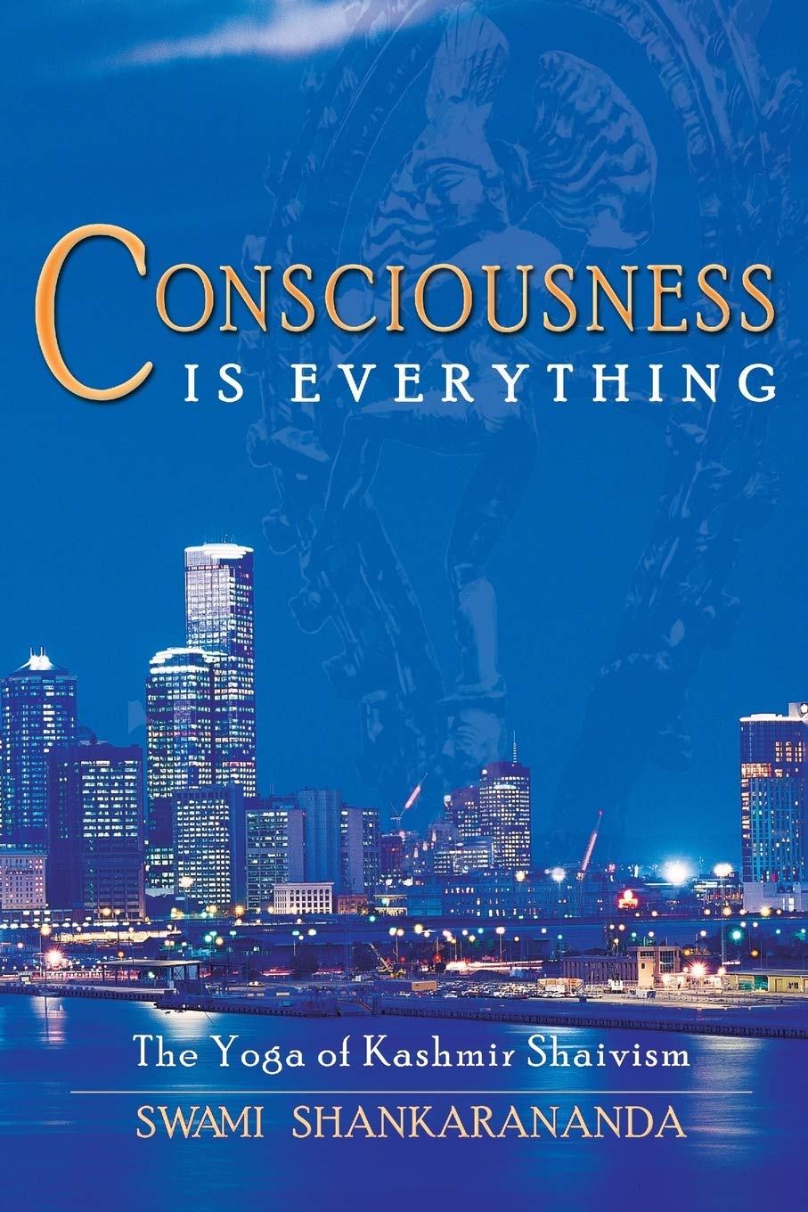 Consciousness Is Everything: The Yoga of Kashmir Shaivism book cover
