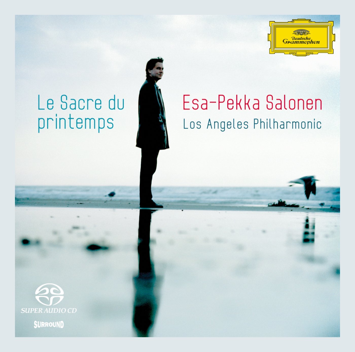 Sacre Du Printemps book cover