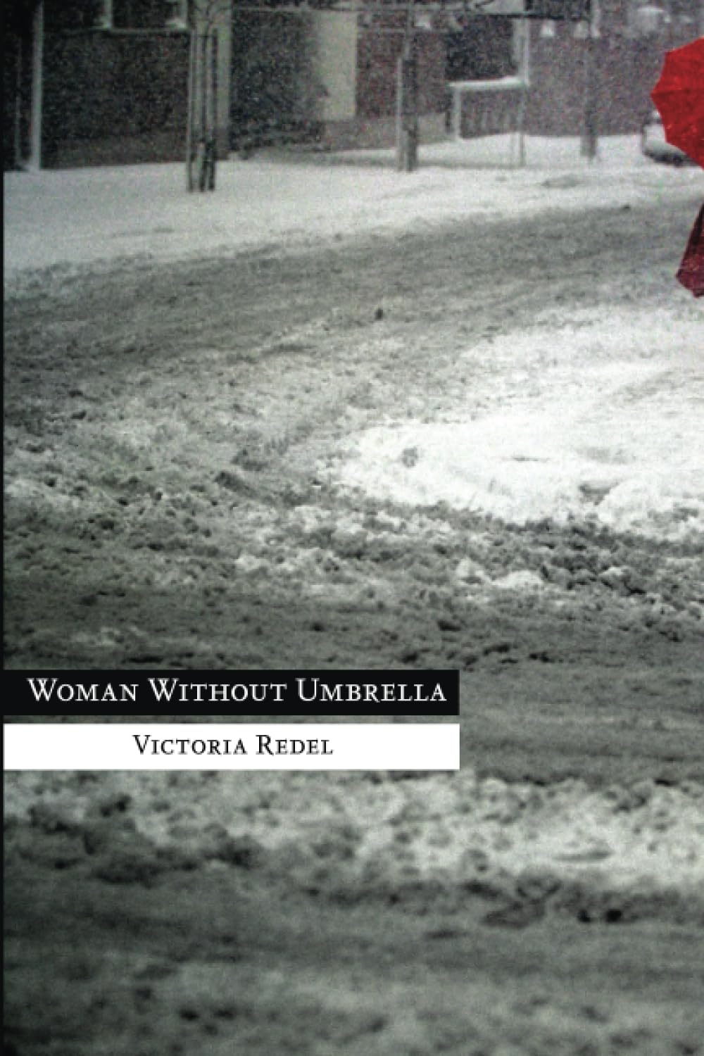 Woman Without Umbrella book cover