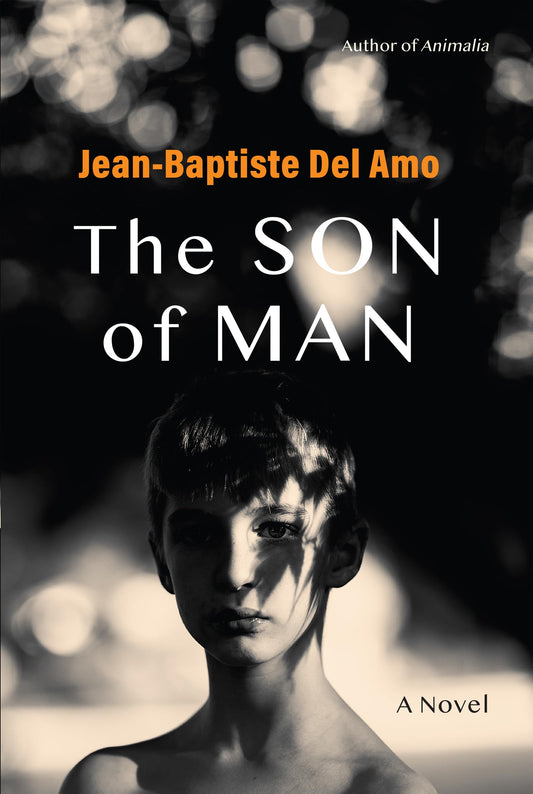 The Son of Man book cover