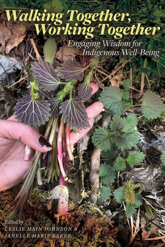 Walking Together, Working Together: Engaging Wisdom for Indigenous Well-Being (Patterns of Northern Traditional Healing Series)