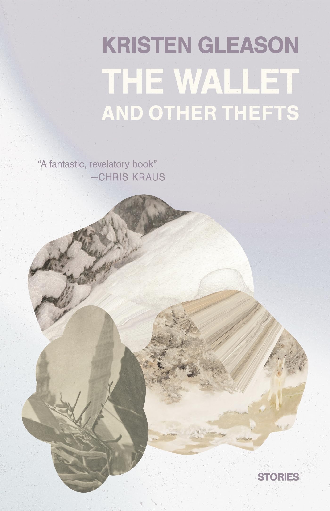 The Wallet and Other Thefts book cover