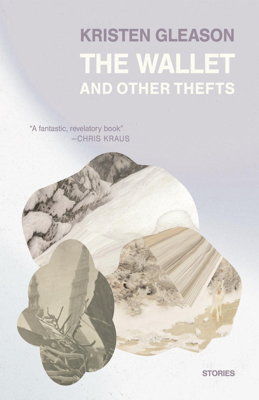 The Wallet and Other Thefts book cover
