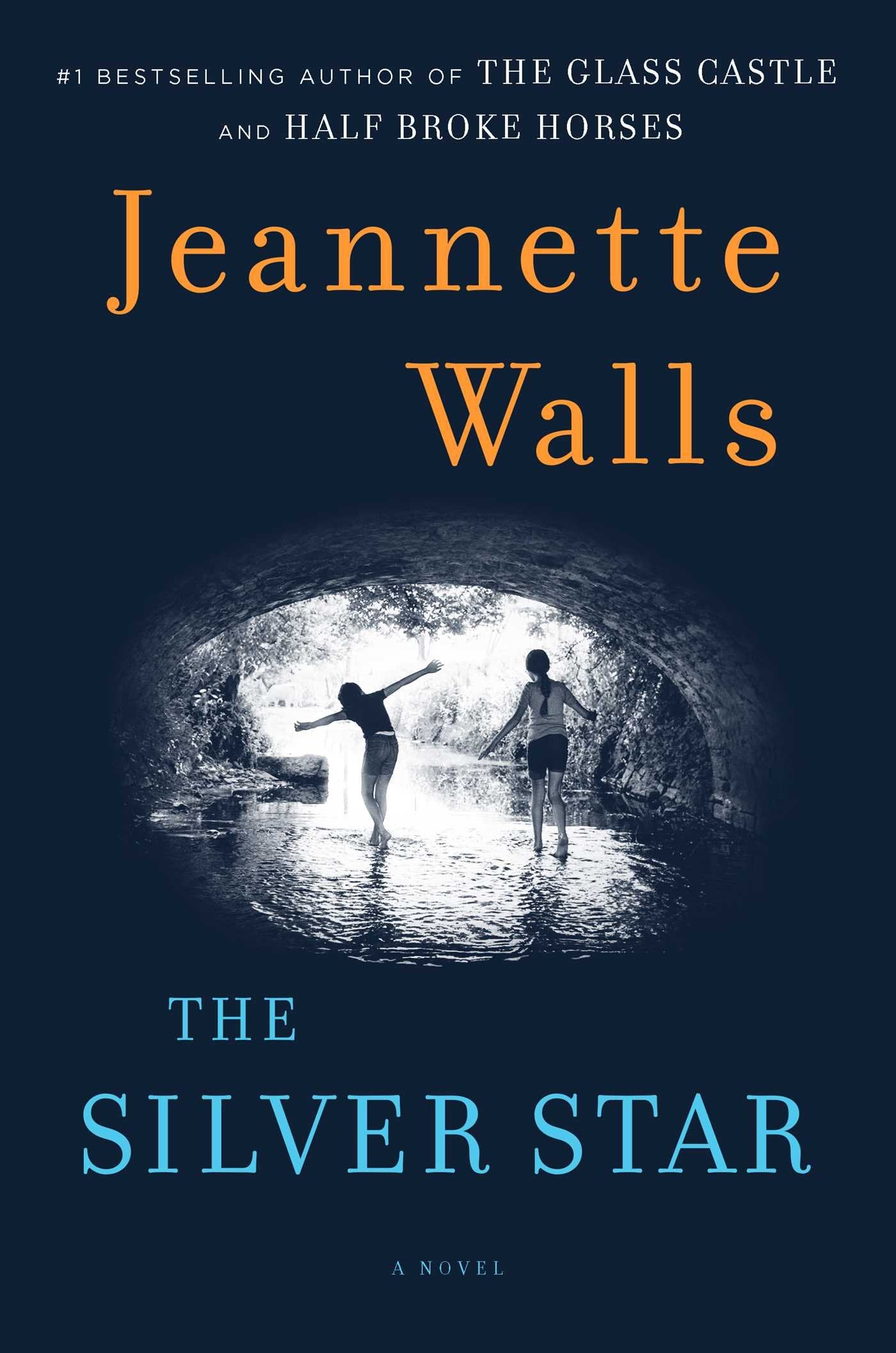 Silver Star book cover