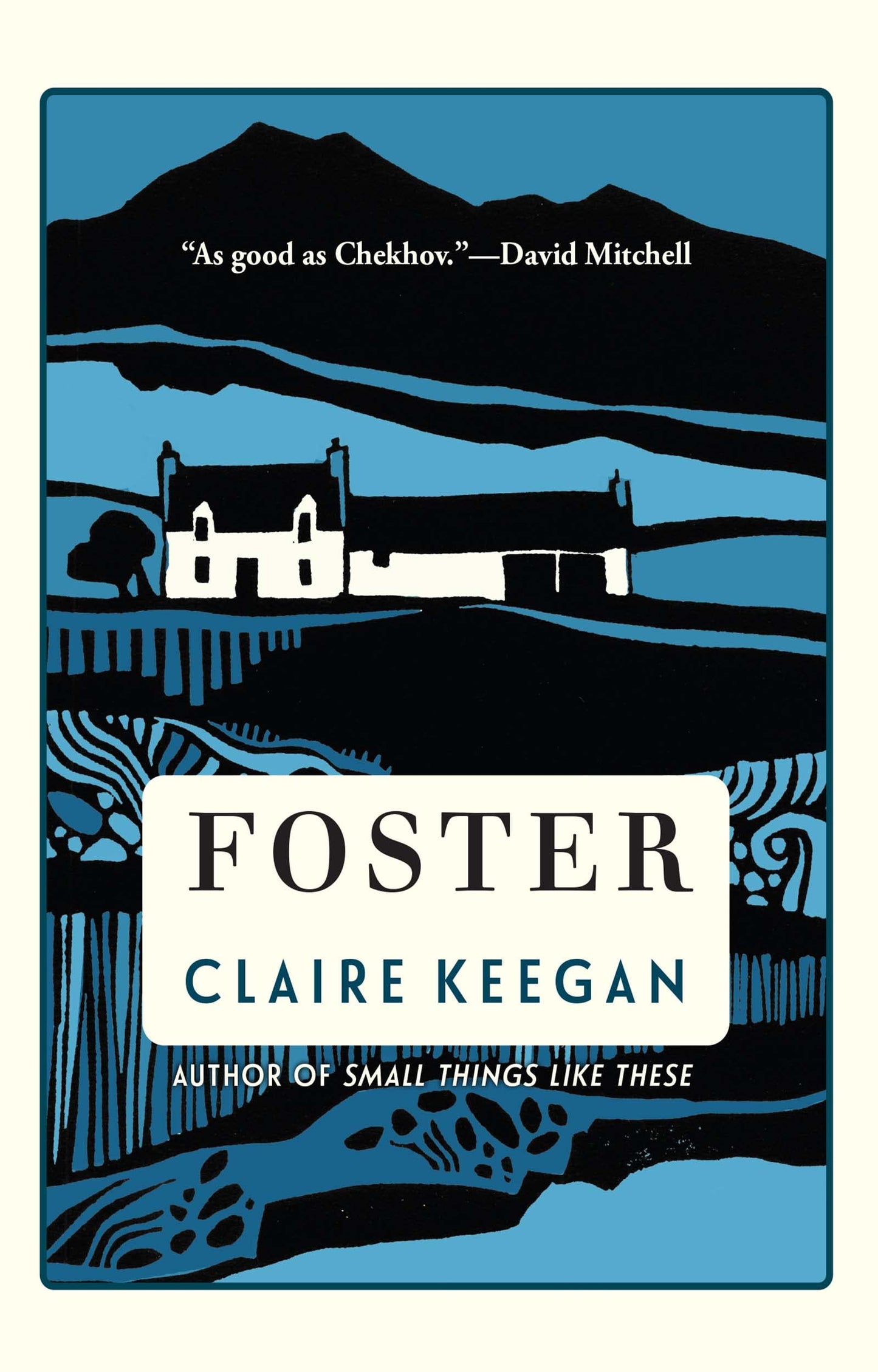 Foster book cover