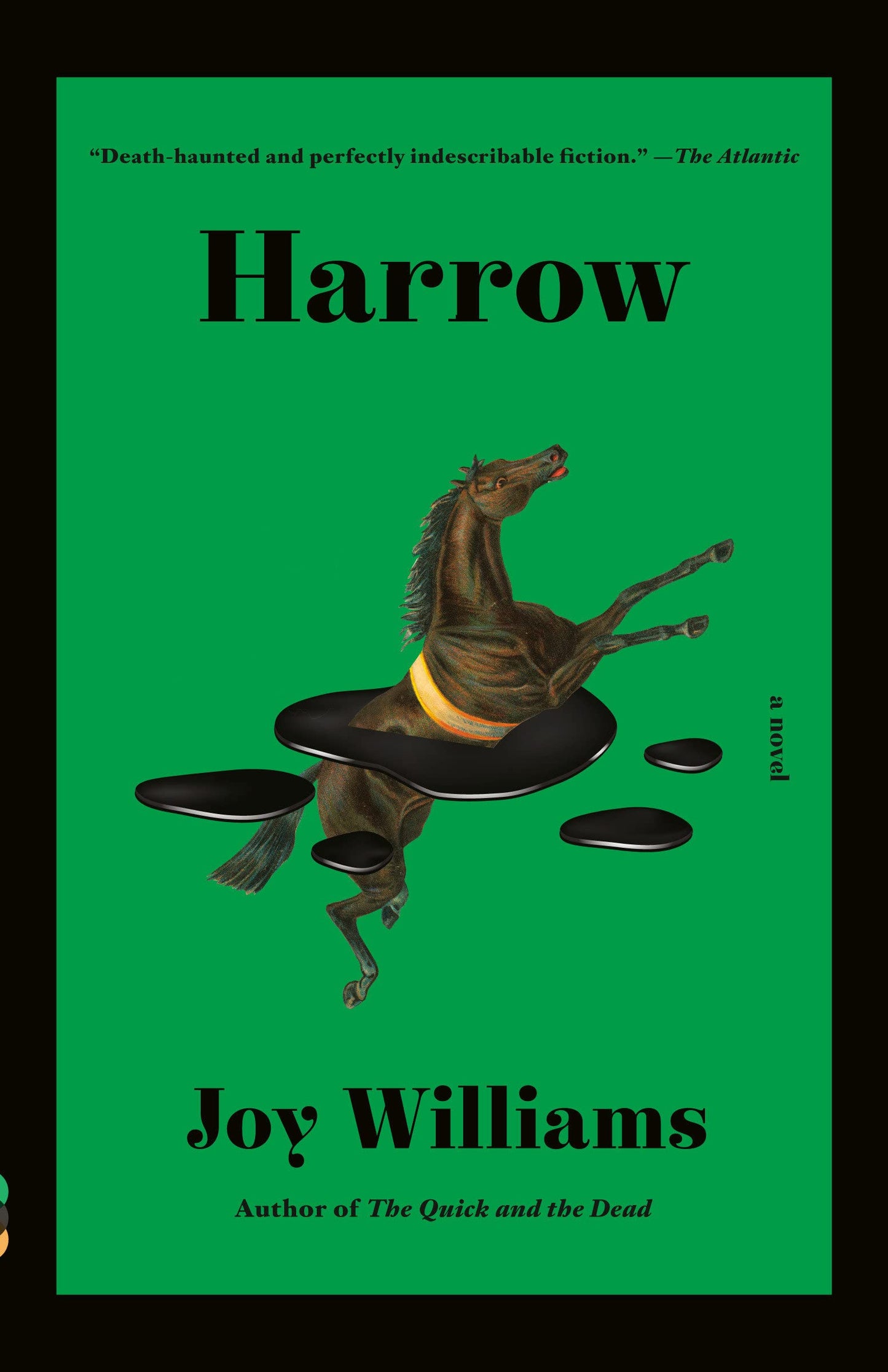 Harrow: A novel (Kirkus Prize) (Vintage Contemporaries)