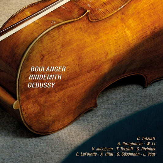 Violin Sonata book cover