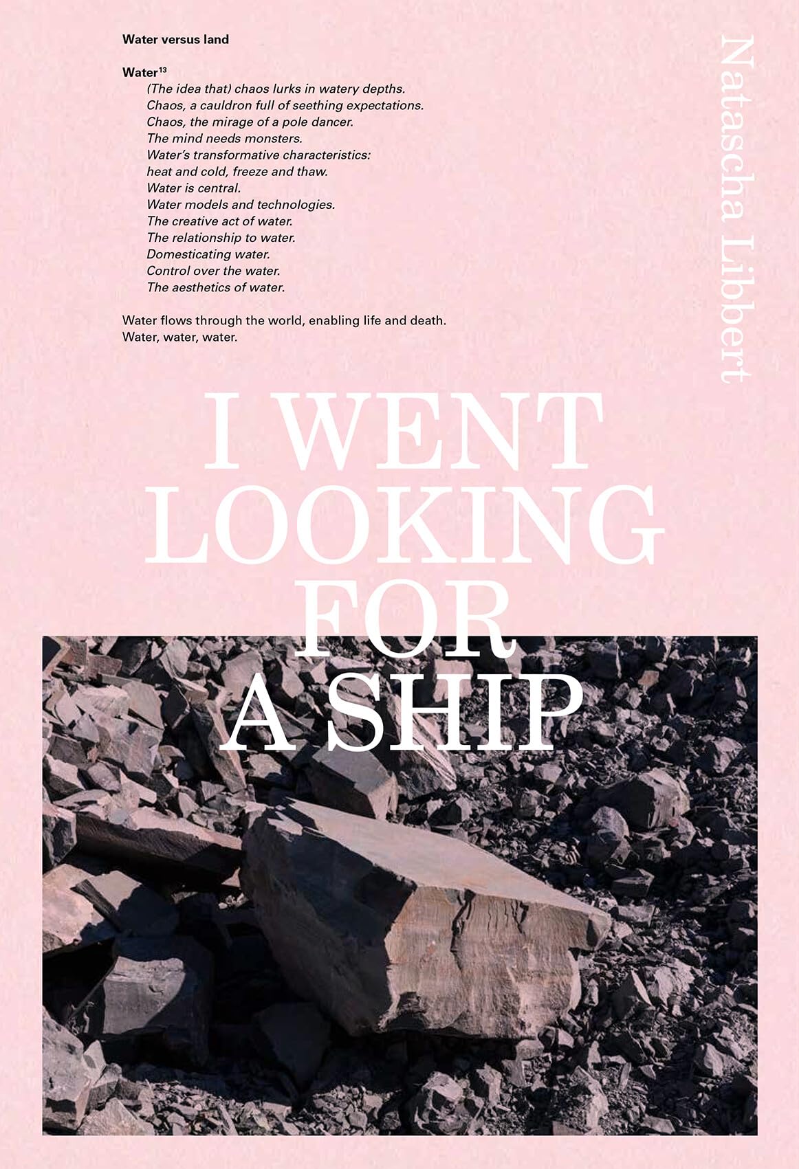 Natascha Libbert - I Went Looking For A Ship book cover