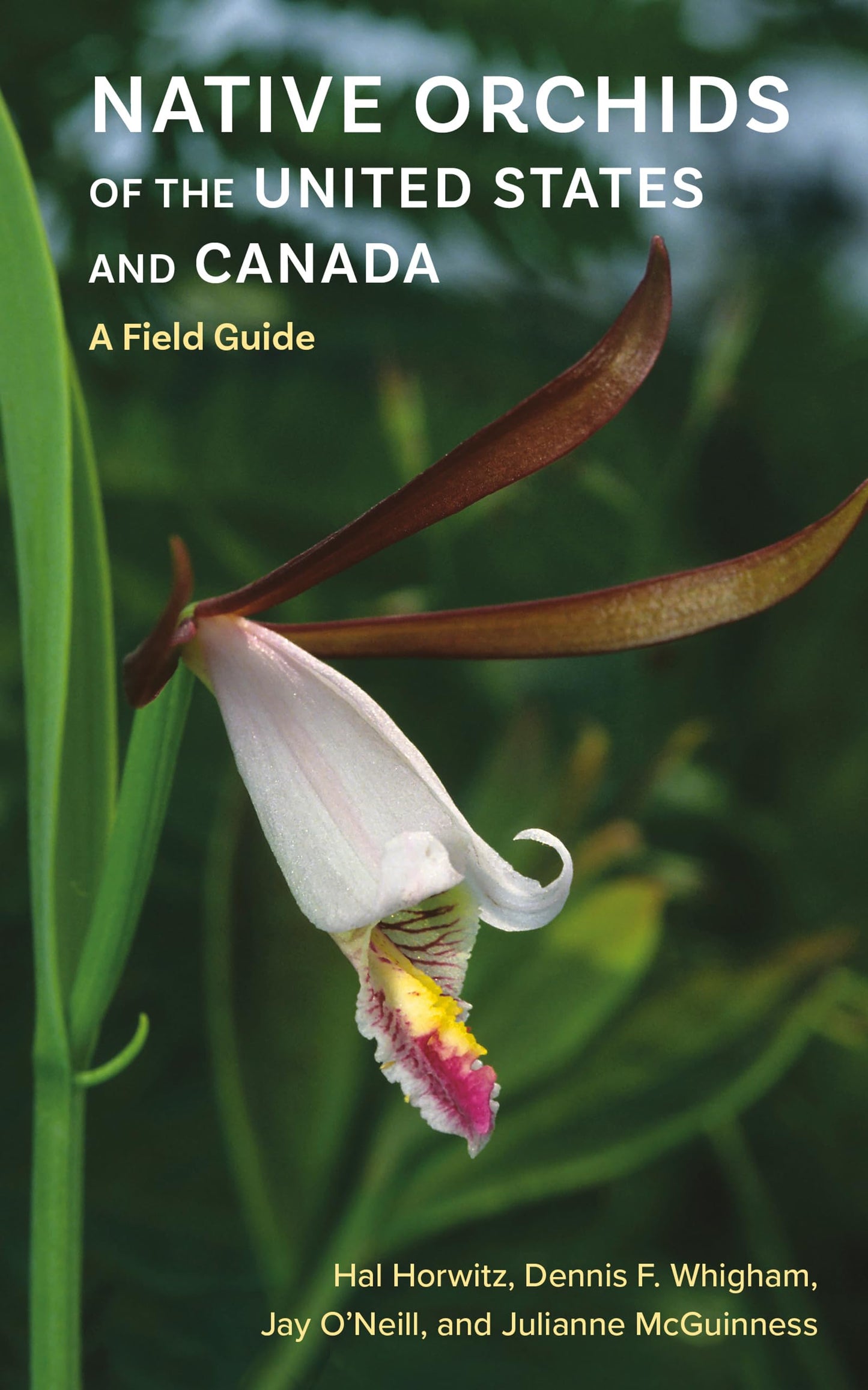 Native Orchids of the United States and Canada book cover