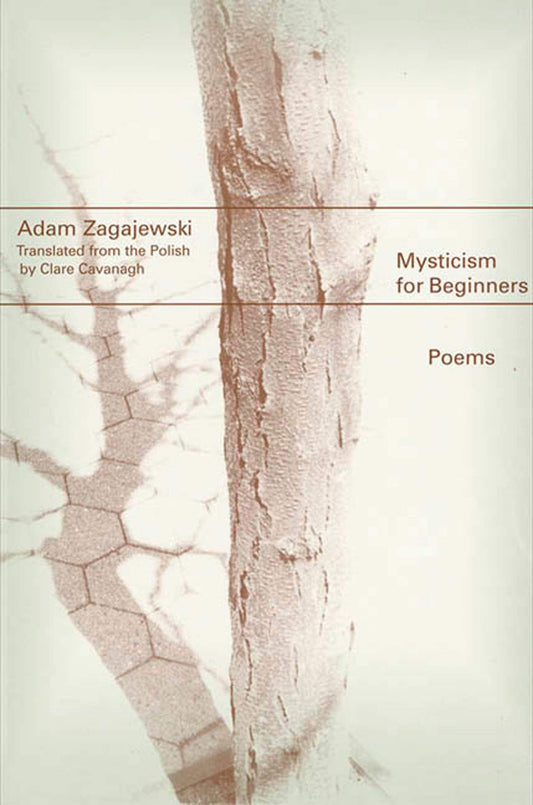 Mysticism for Beginners: Poems book cover