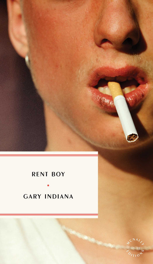 Rent Boy book cover