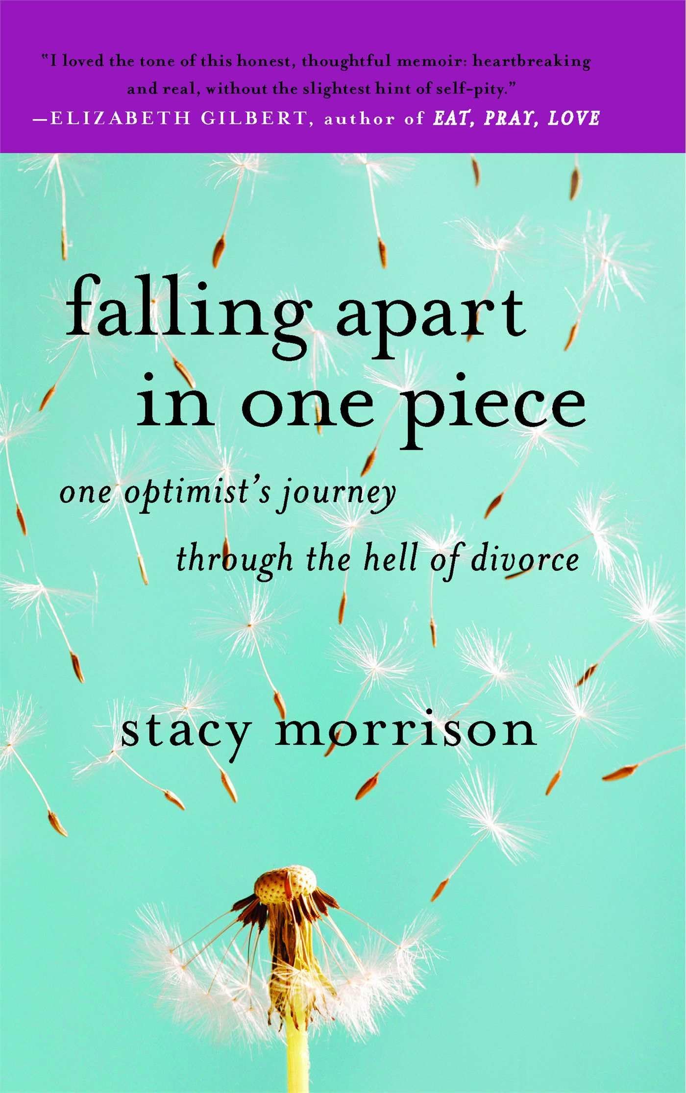 Falling Apart in One Piece: One Optimist's Journey Through the Hell of Divorce book cover