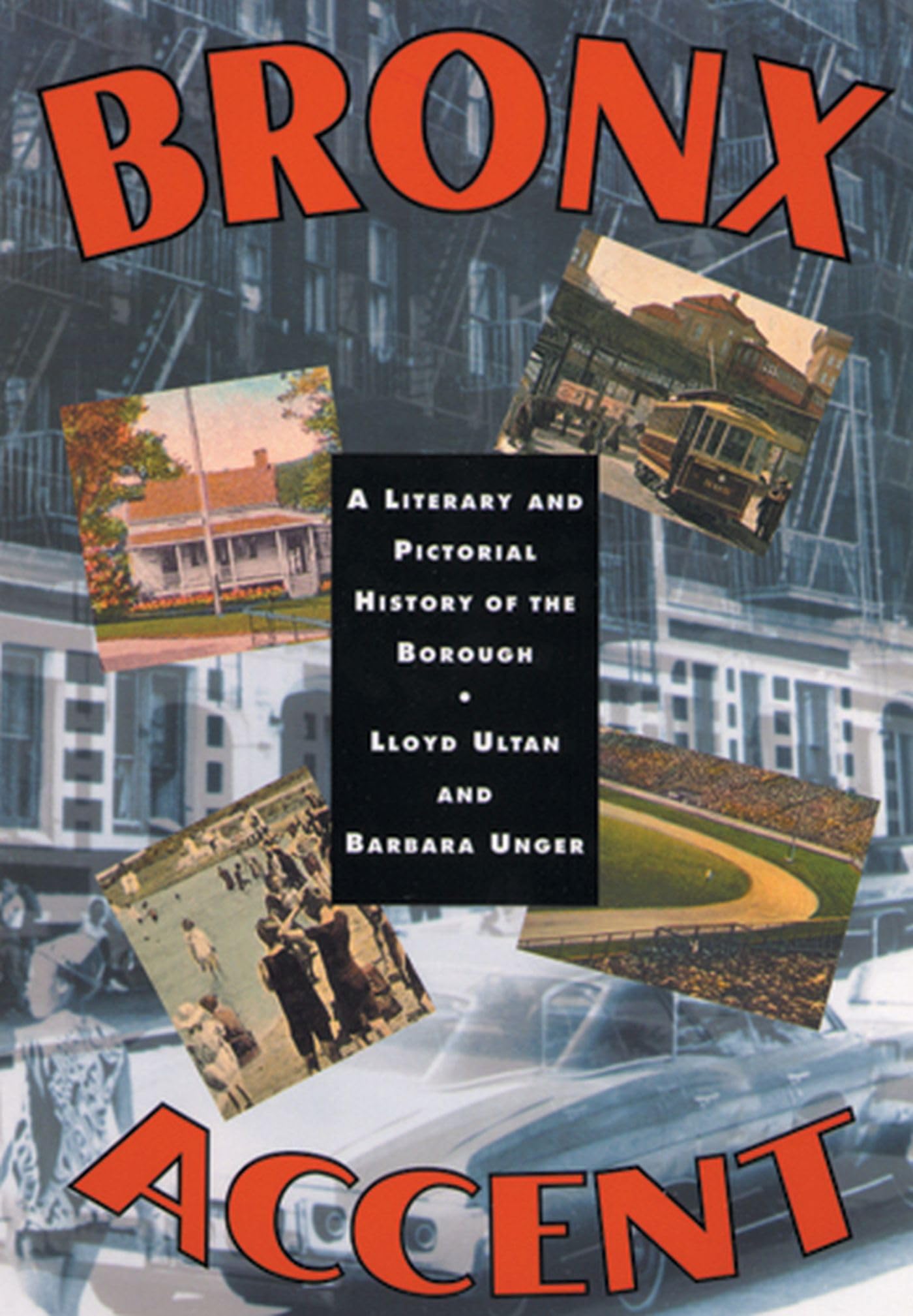 Bronx Accent: A Literary and Pictorial History of the Borough book cover