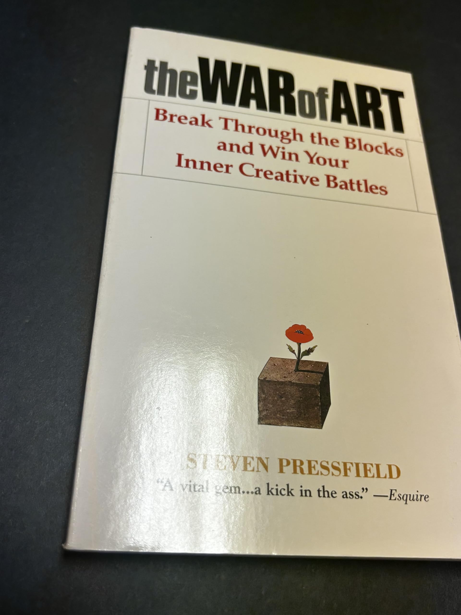 War of Art: Break Through the Blocks and Win Your Inner Creative Battles book cover