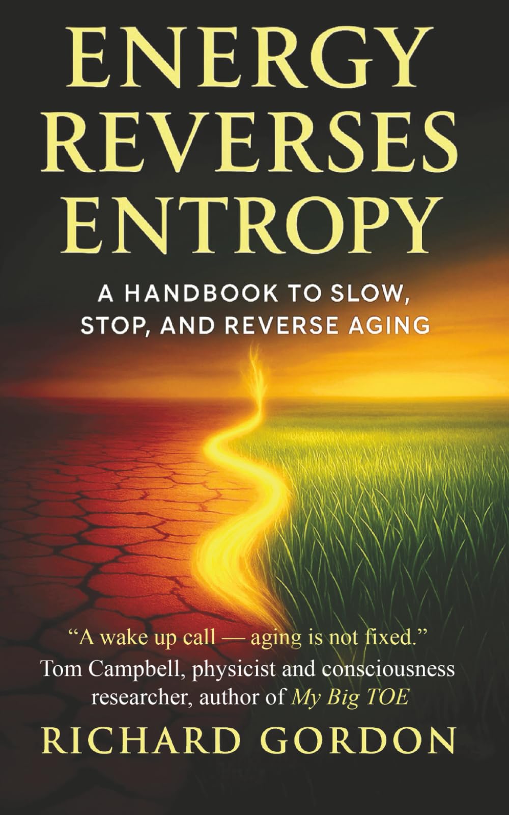 Energy Reverses Entropy: A Handbook to Slow, Stop, and Reverse Aging book cover