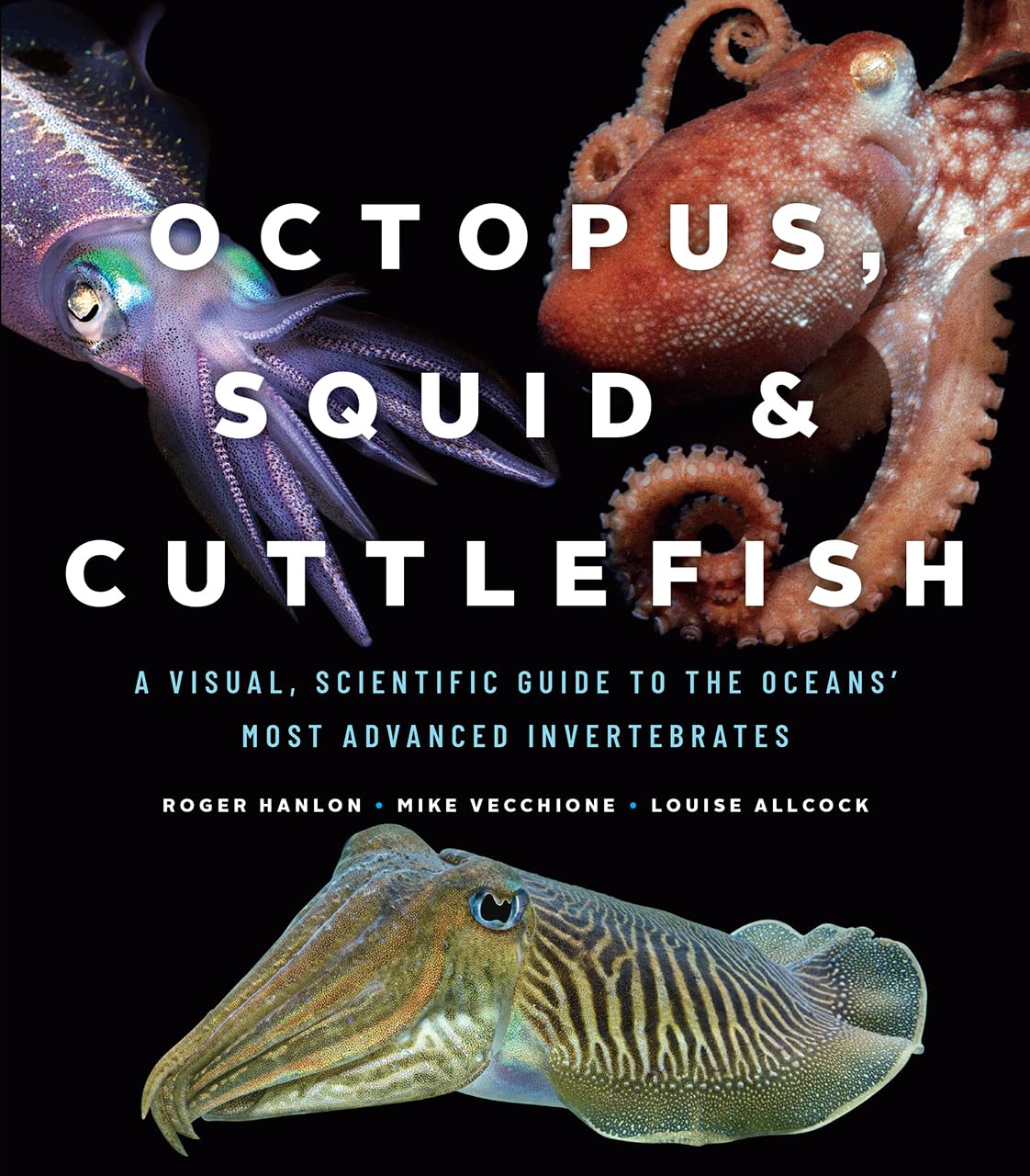 Octopus, Squid, and Cuttlefish: A Visual, Scientific Guide to the Oceans' Most Advanced Invertebrates book cover