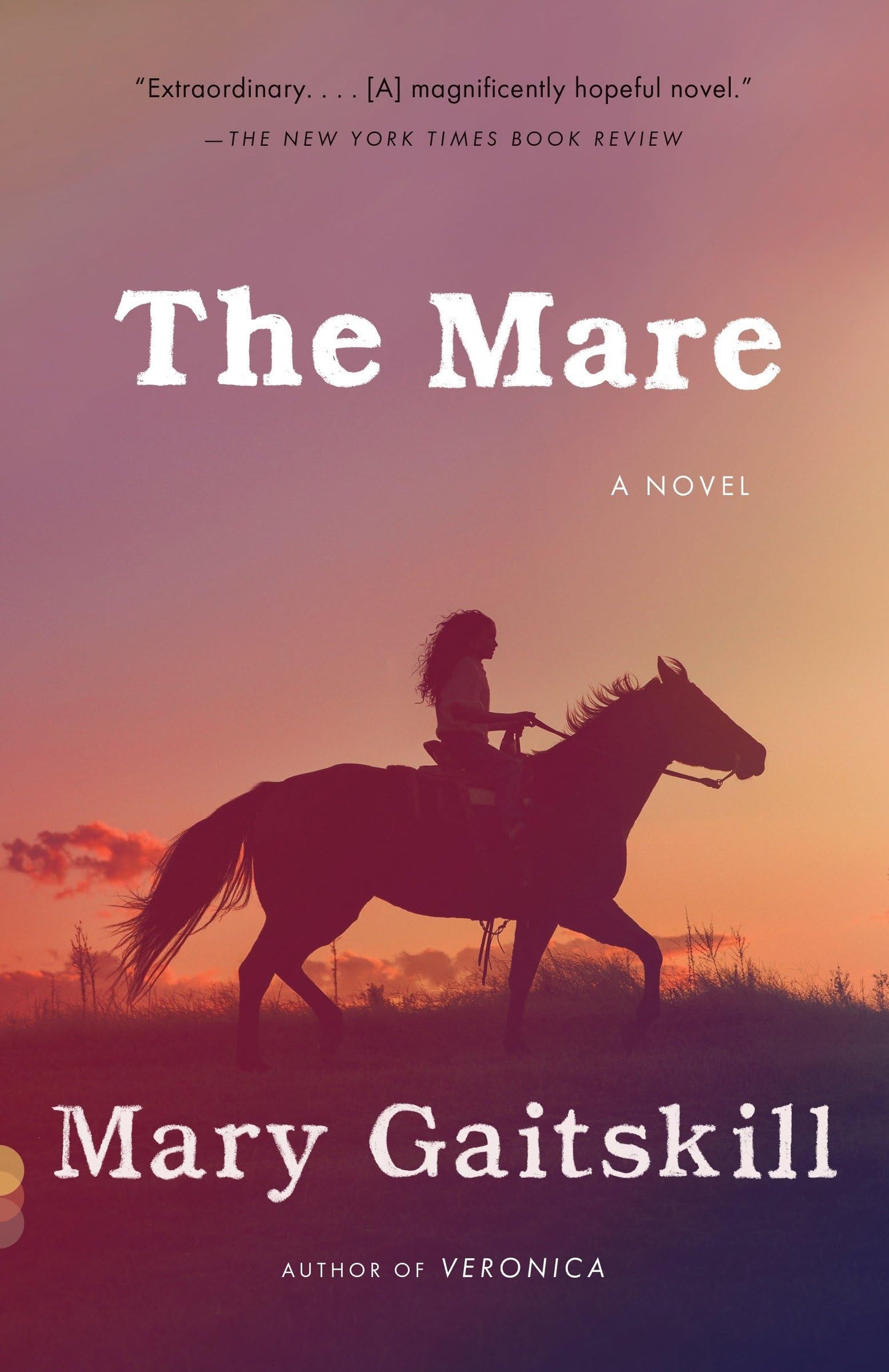 Mare book cover