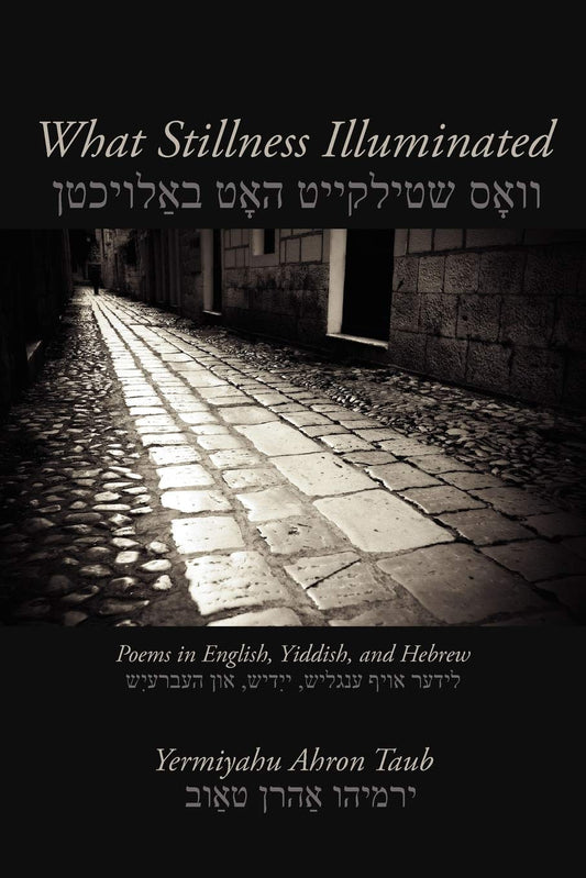 What Stillness Illuminated: Poems in English, Yiddish, and Hebrew (Free Verse Editions) book cover
