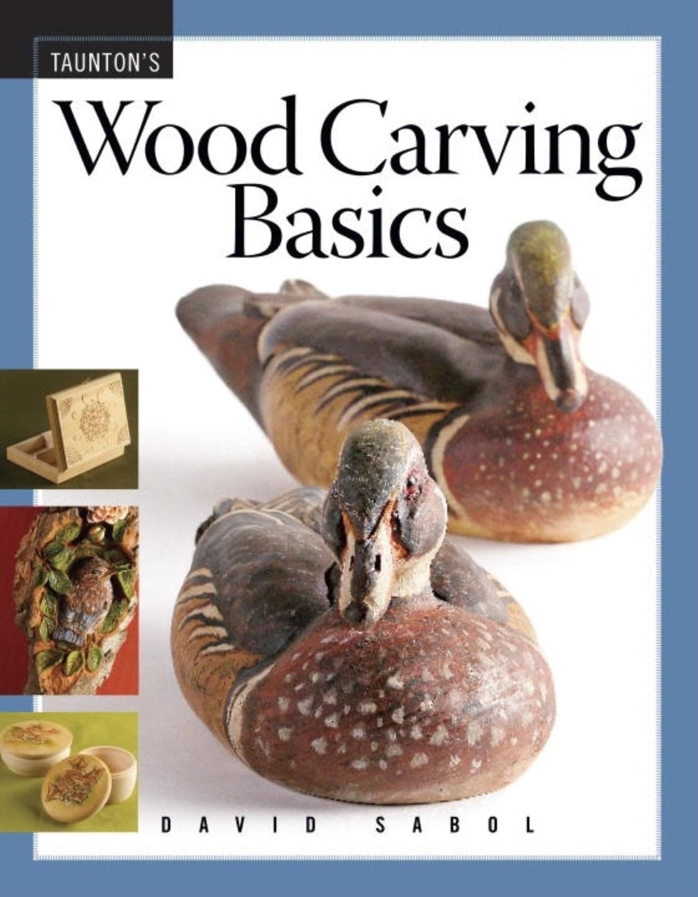 Wood Carving Basics book cover