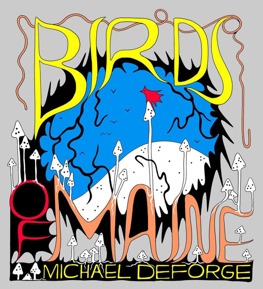 Birds of Maine book cover