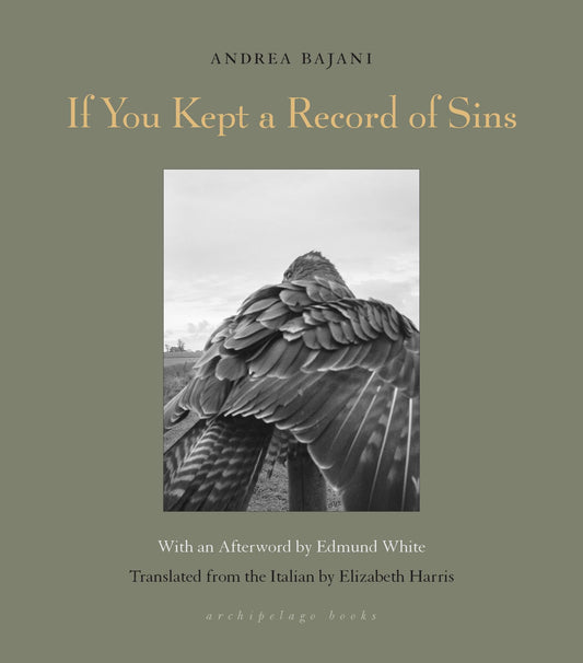 If You Kept a Record of Sins book cover