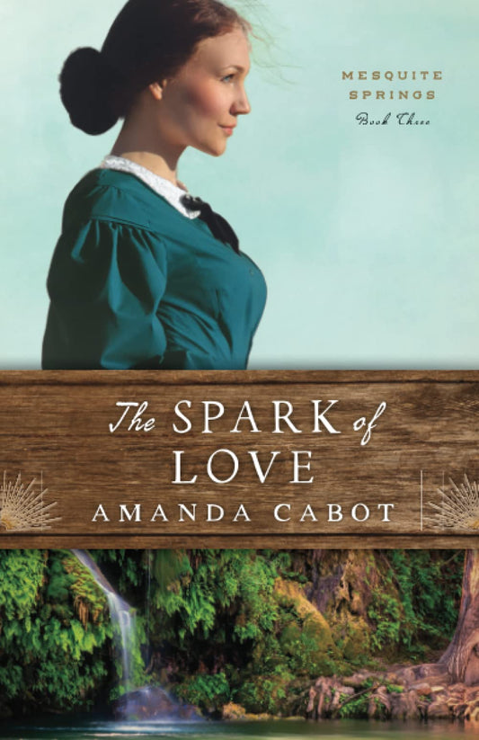 Spark of Love book cover