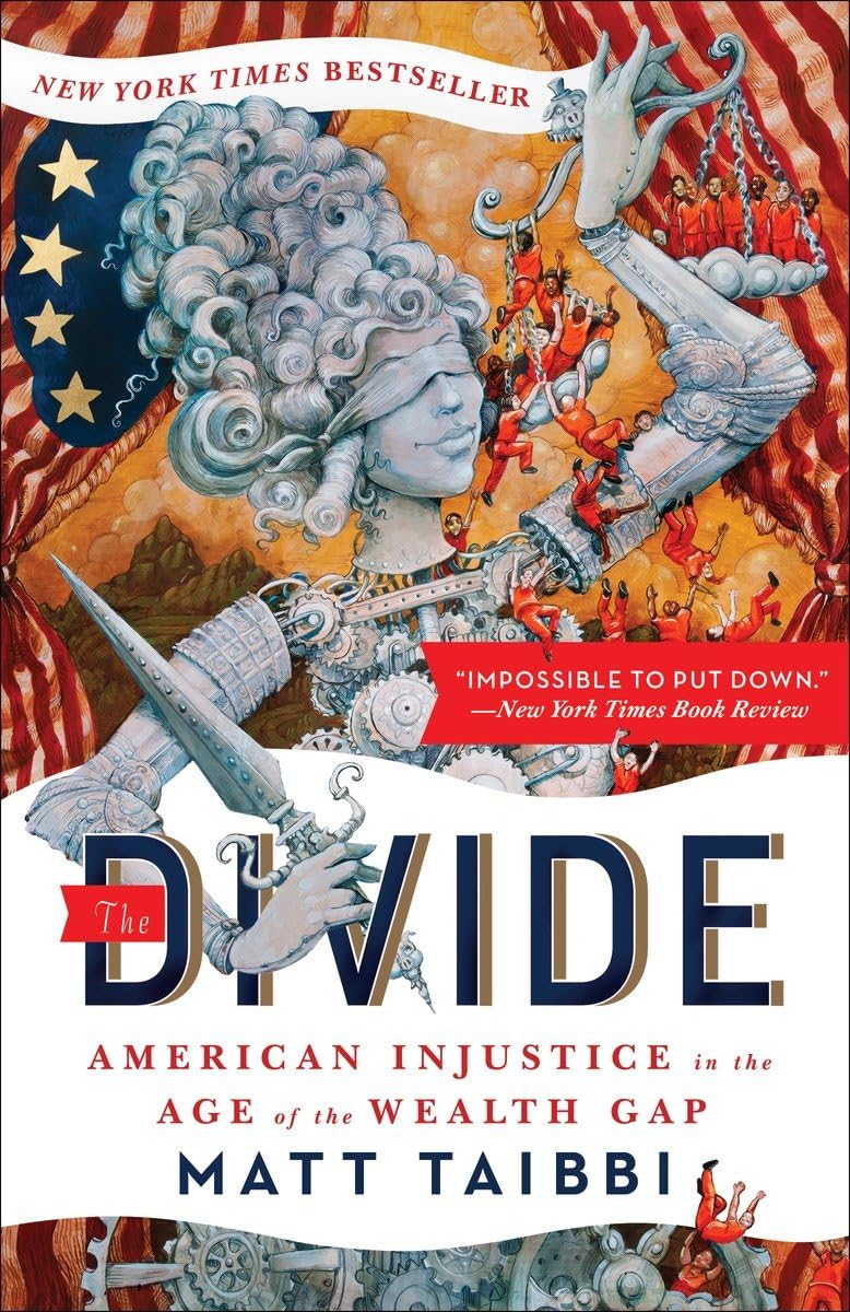 Divide: American Injustice in the Age of the Wealth Gap book cover