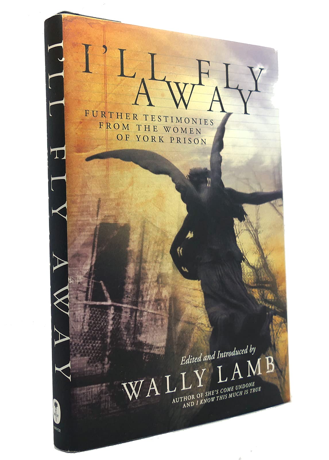 I'll Fly Away: Further Testimonies from the Women of York Prison book cover