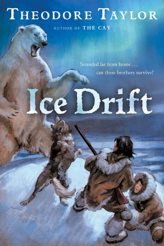 Ice Drift book cover