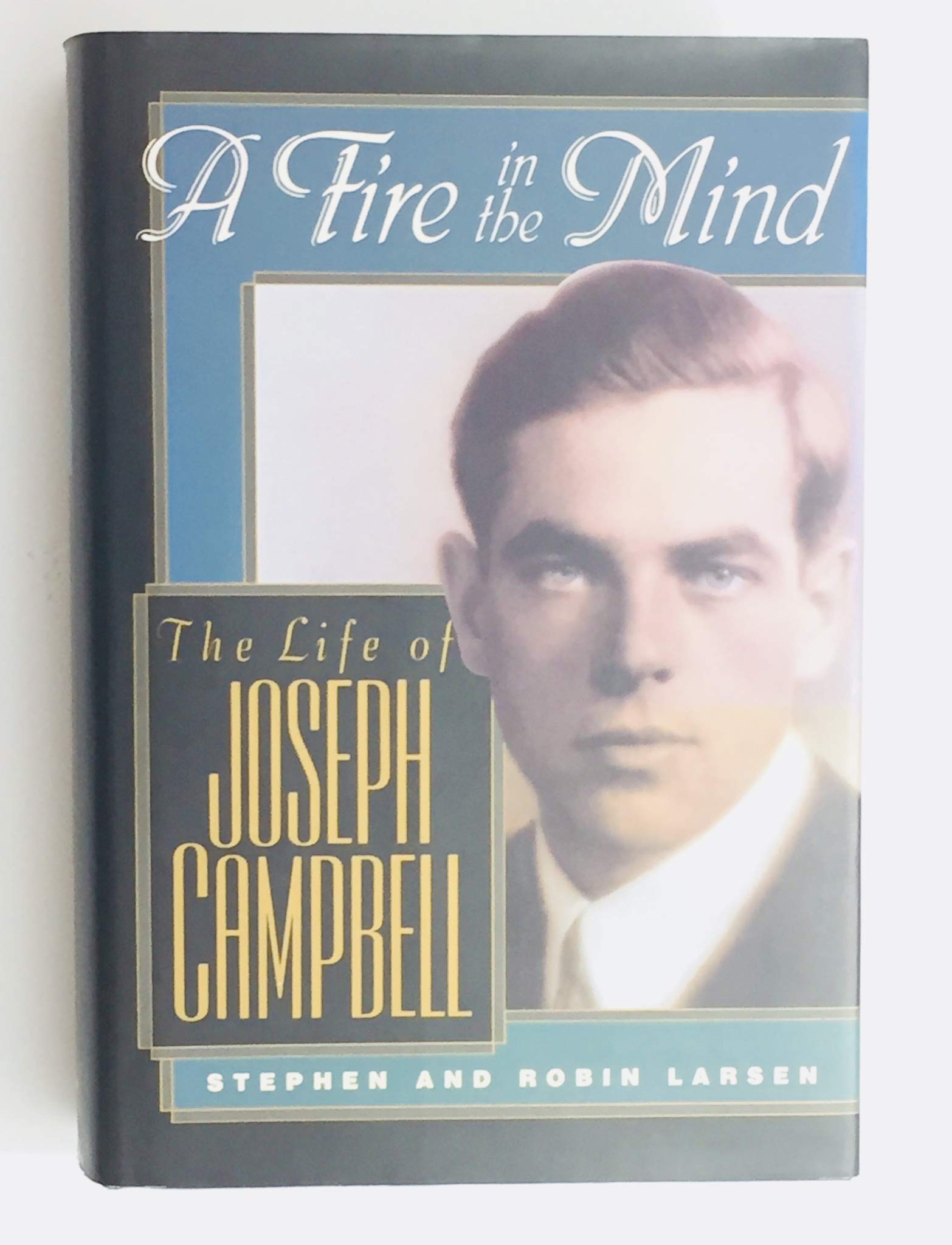 Fire in the Mind book cover