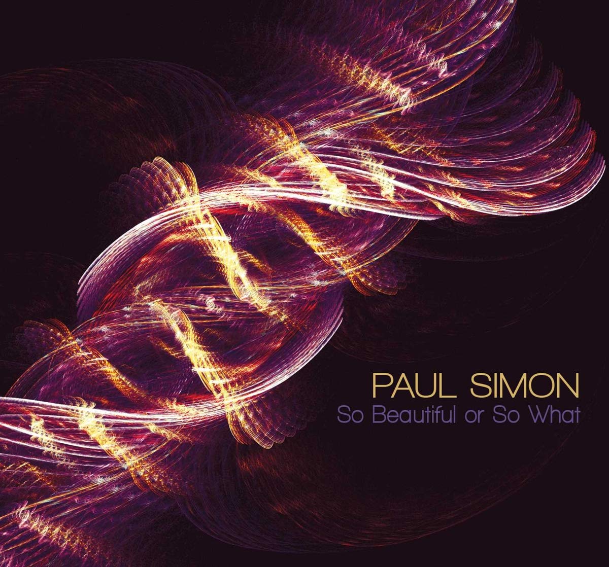So Beautiful or So What book cover