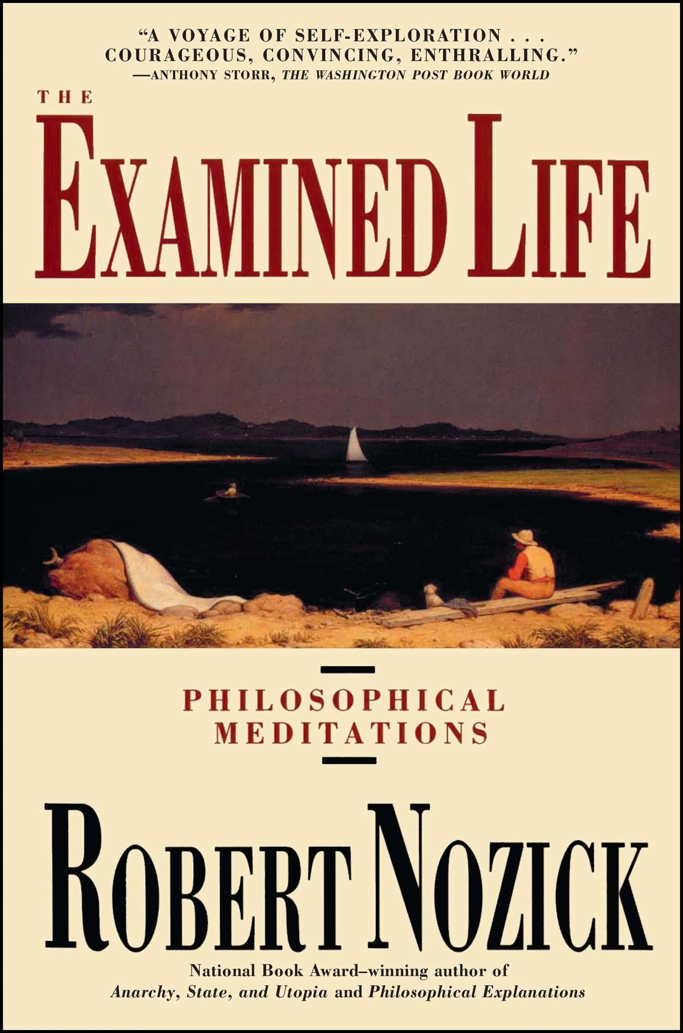 Examined Life: Philosophical Meditations book cover