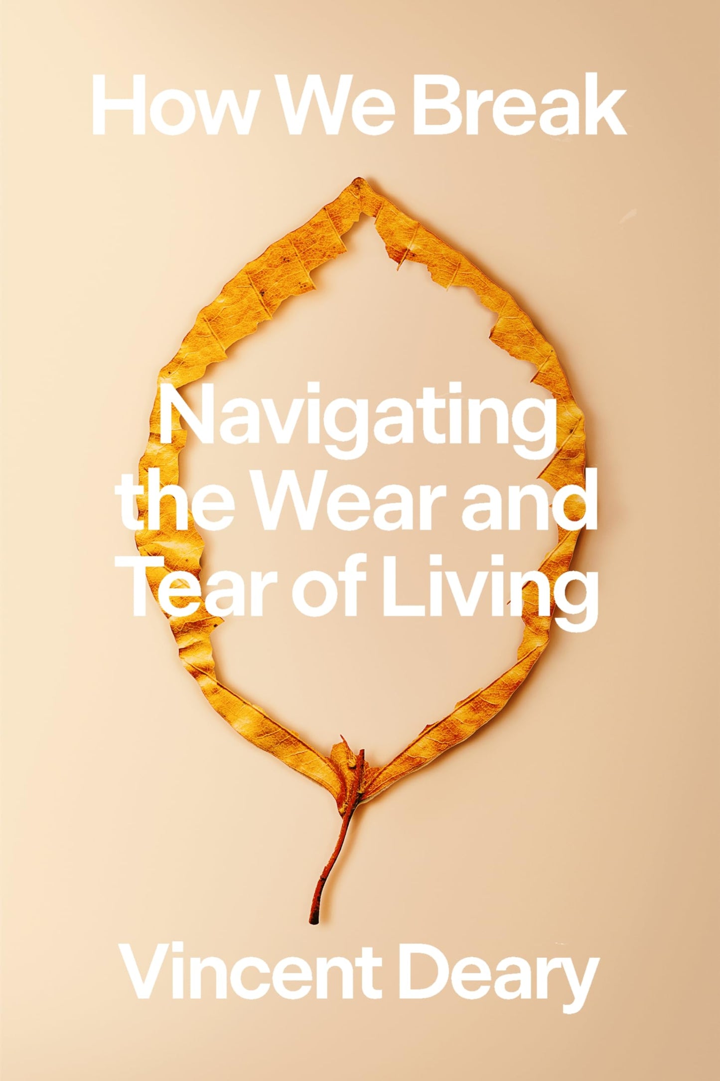 How We Break: Navigating the Wear and Tear of Living book cover