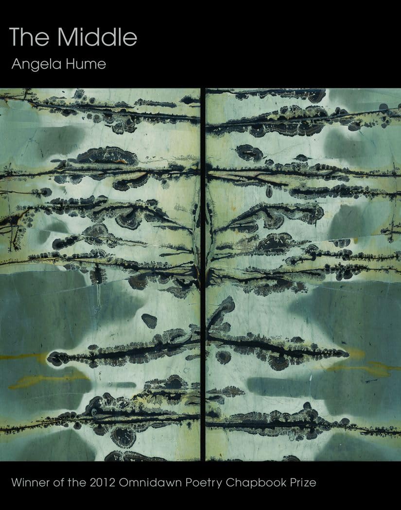 Middle book cover