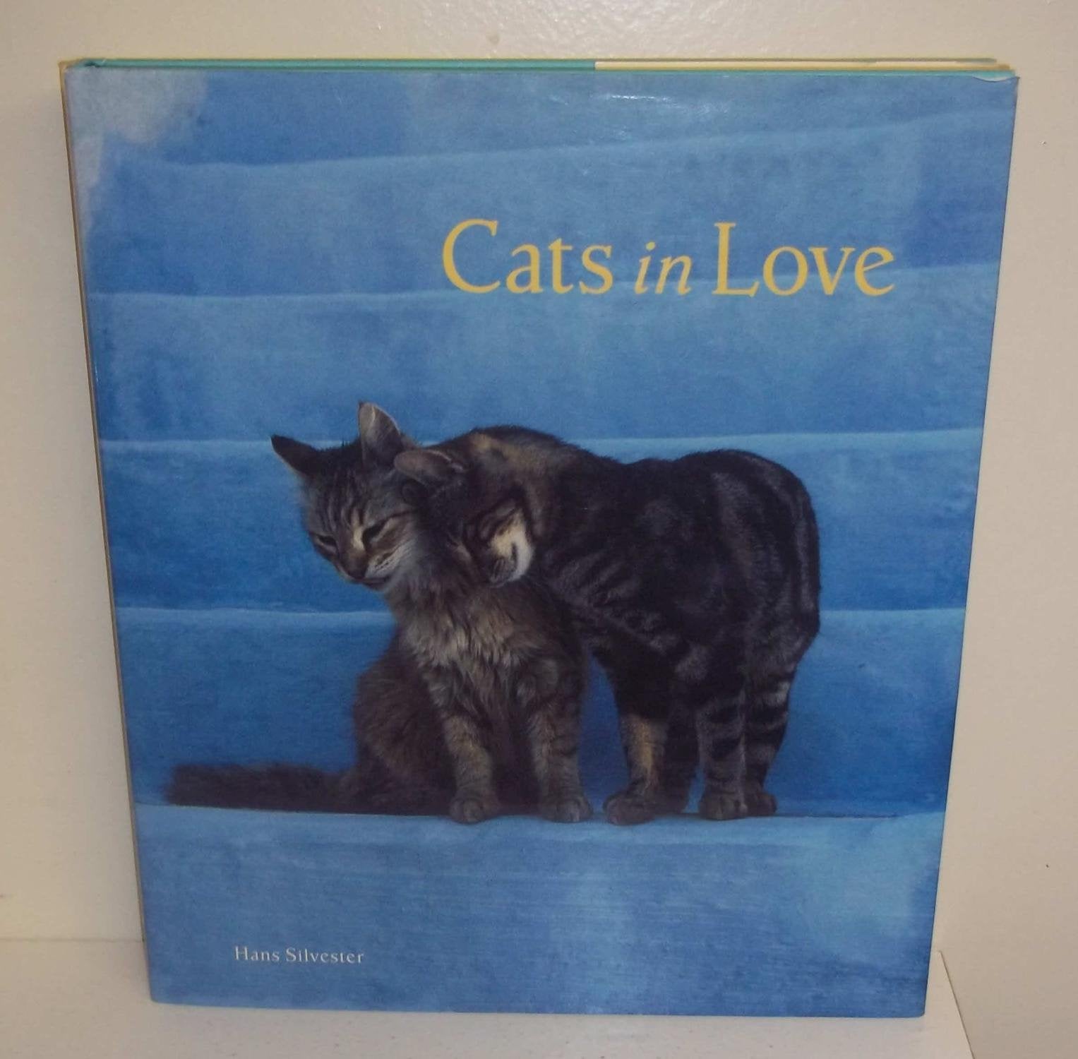 Cats in Love book cover