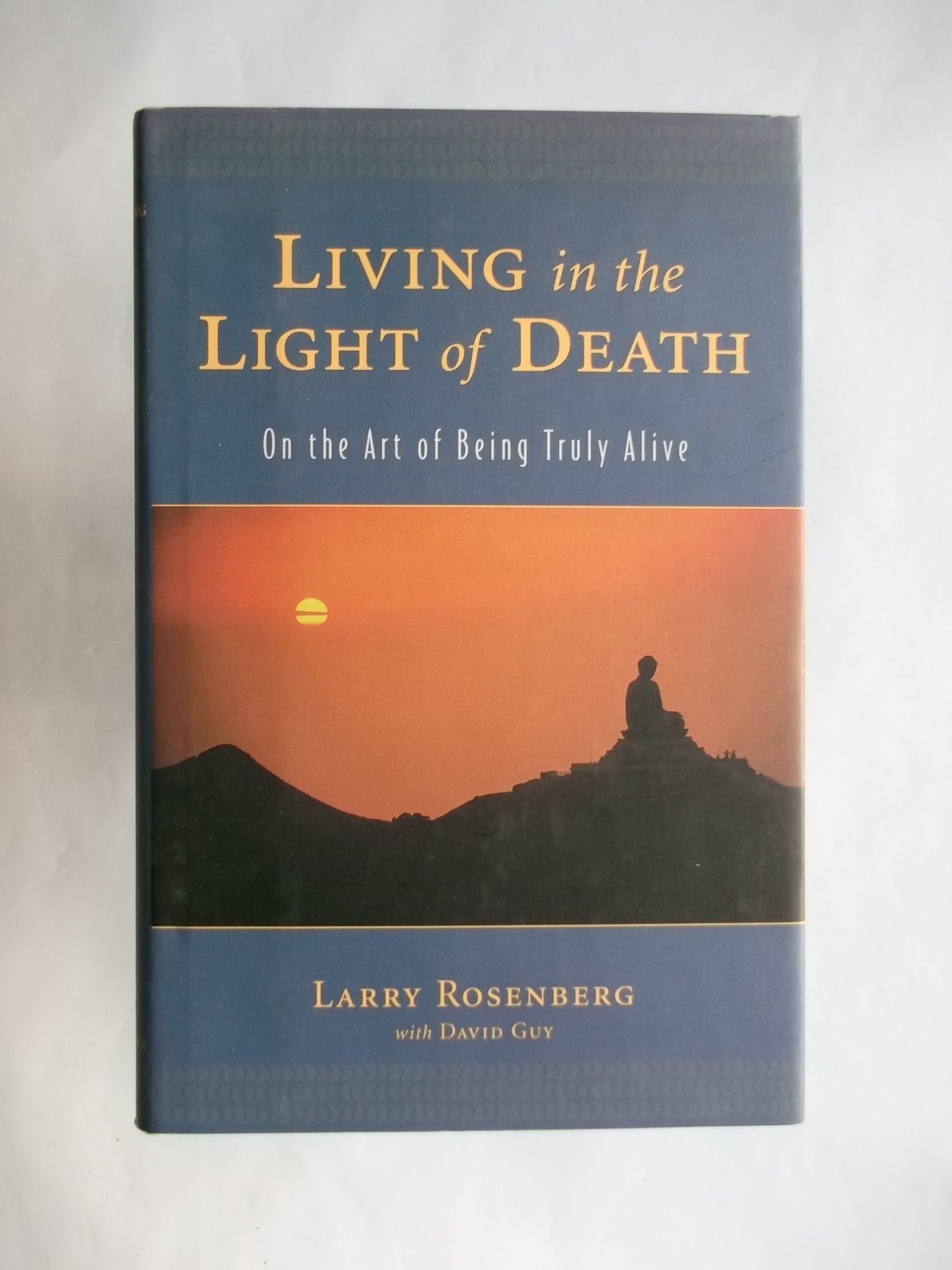 Living in the Light of Death book cover
