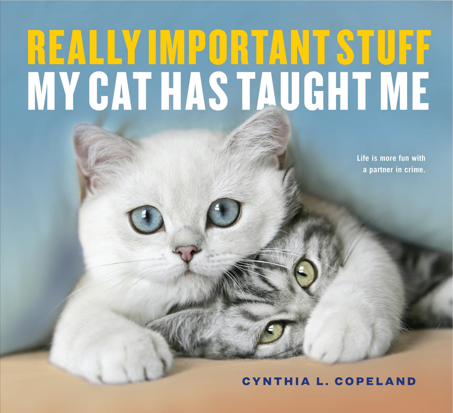 Really Important Stuff My Cat Has Taught Me book cover
