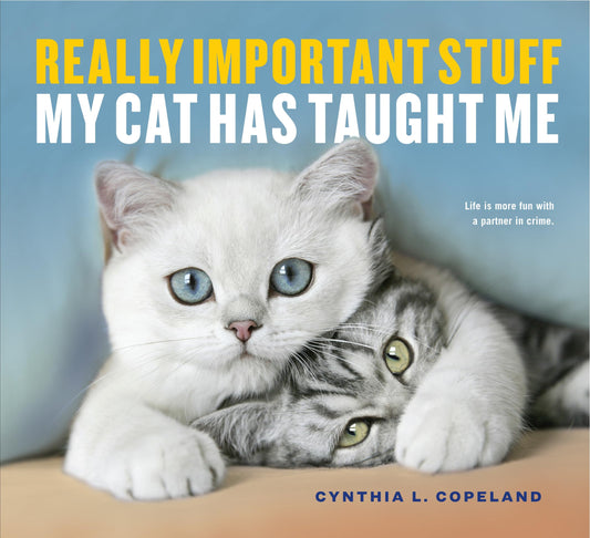 Really Important Stuff My Cat Has Taught Me book cover