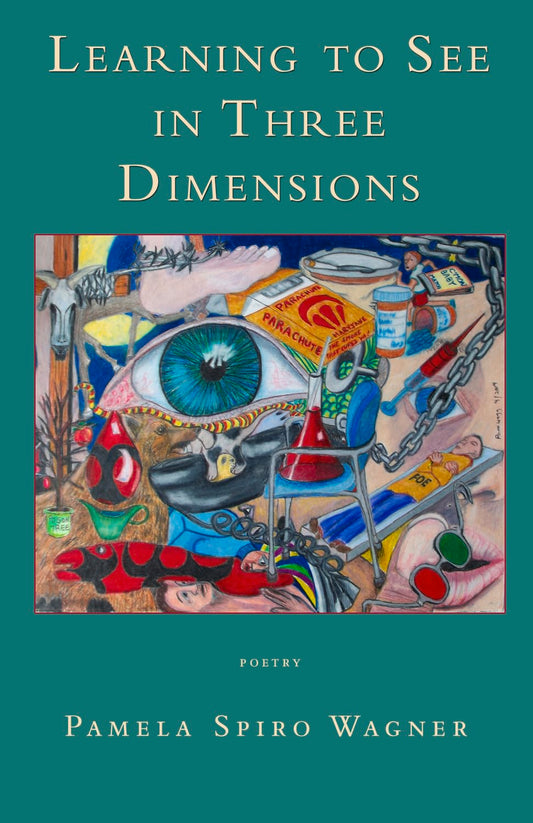 Learning to See in Three Dimensions: Poetry book cover