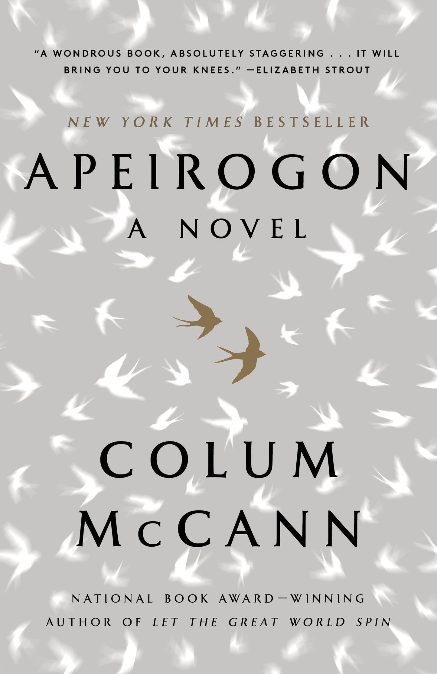Apeirogon: A Novel book cover