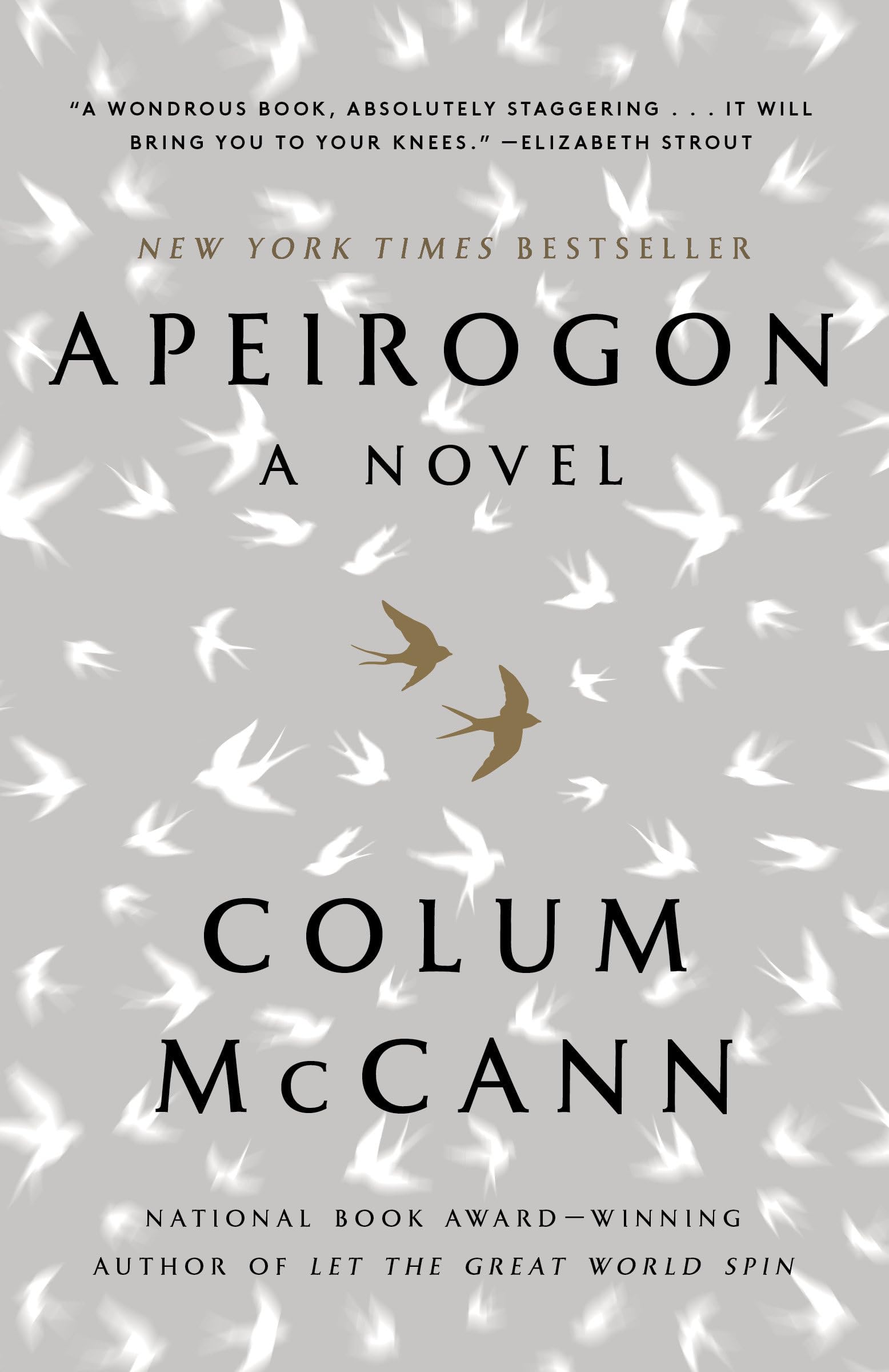 Apeirogon: A Novel book cover