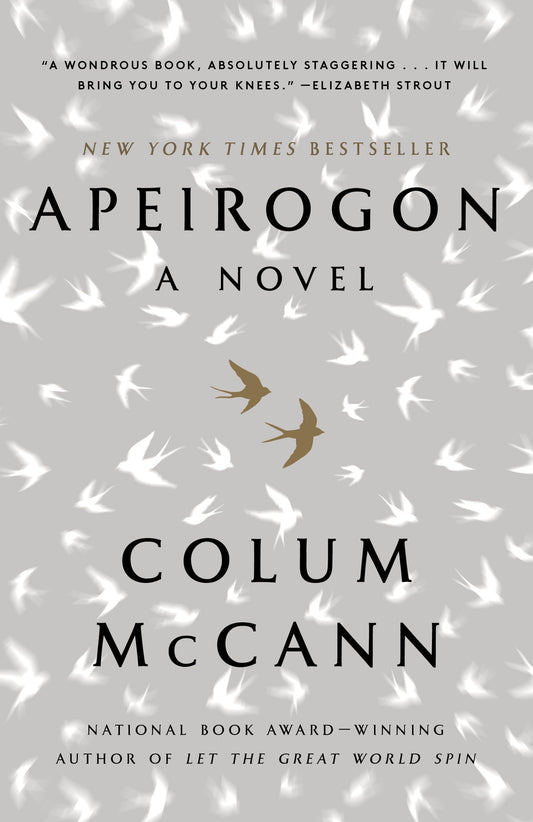 Apeirogon: A Novel book cover