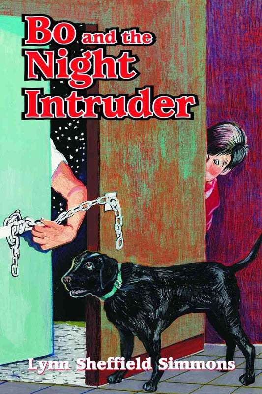 Bo and the Night Intruder book cover
