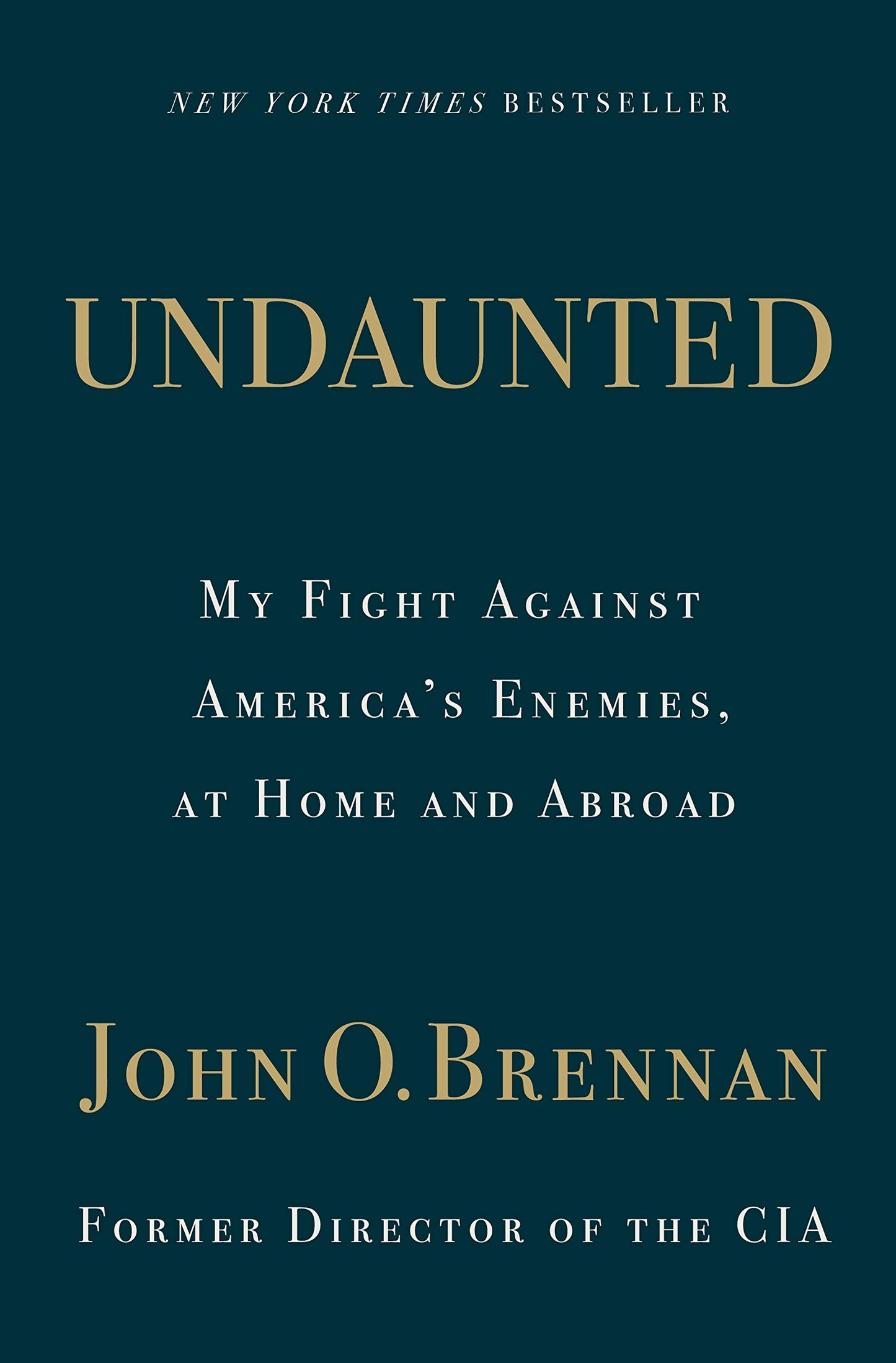 Undaunted: My Fight Against America's Enemies, at Home and Abroad book cover