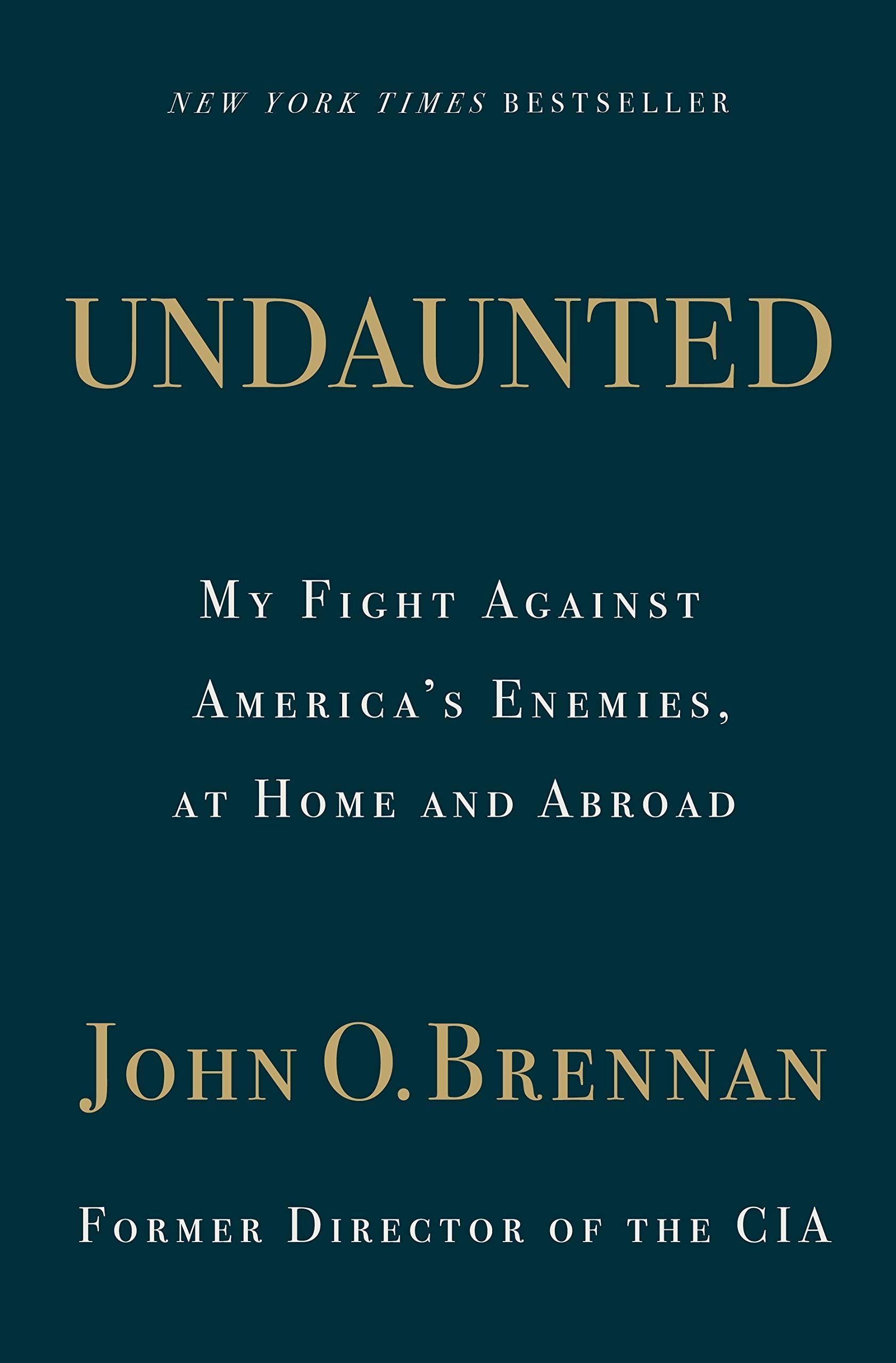 Undaunted: My Fight Against America's Enemies, at Home and Abroad book cover
